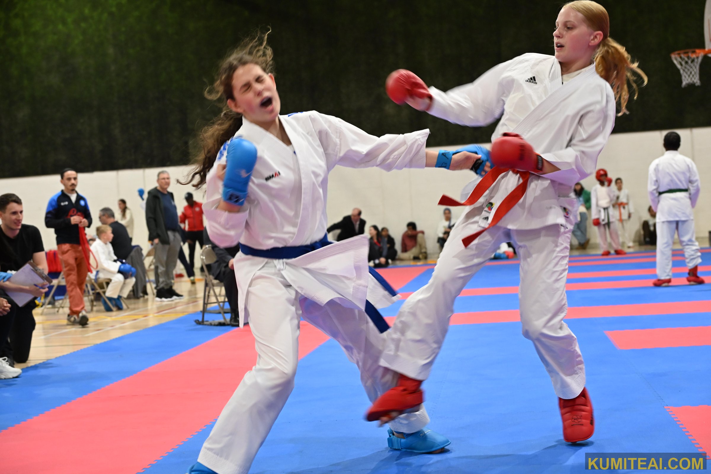 AKC Amateur Karate Circuit 2025 event photo