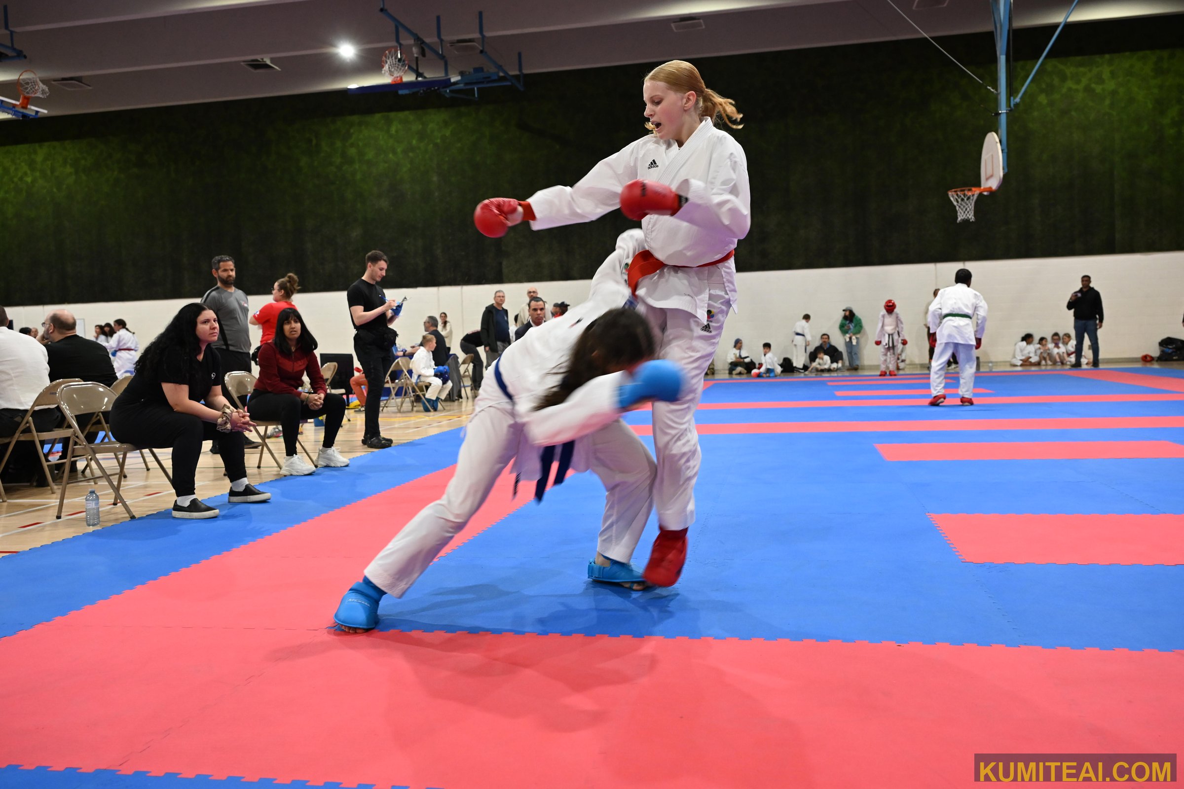 AKC Amateur Karate Circuit 2025 event photo