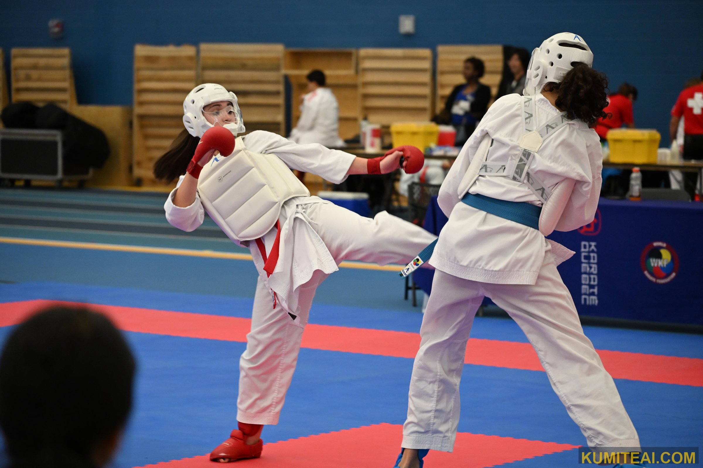 Montreal Open Karate 2025 event photo