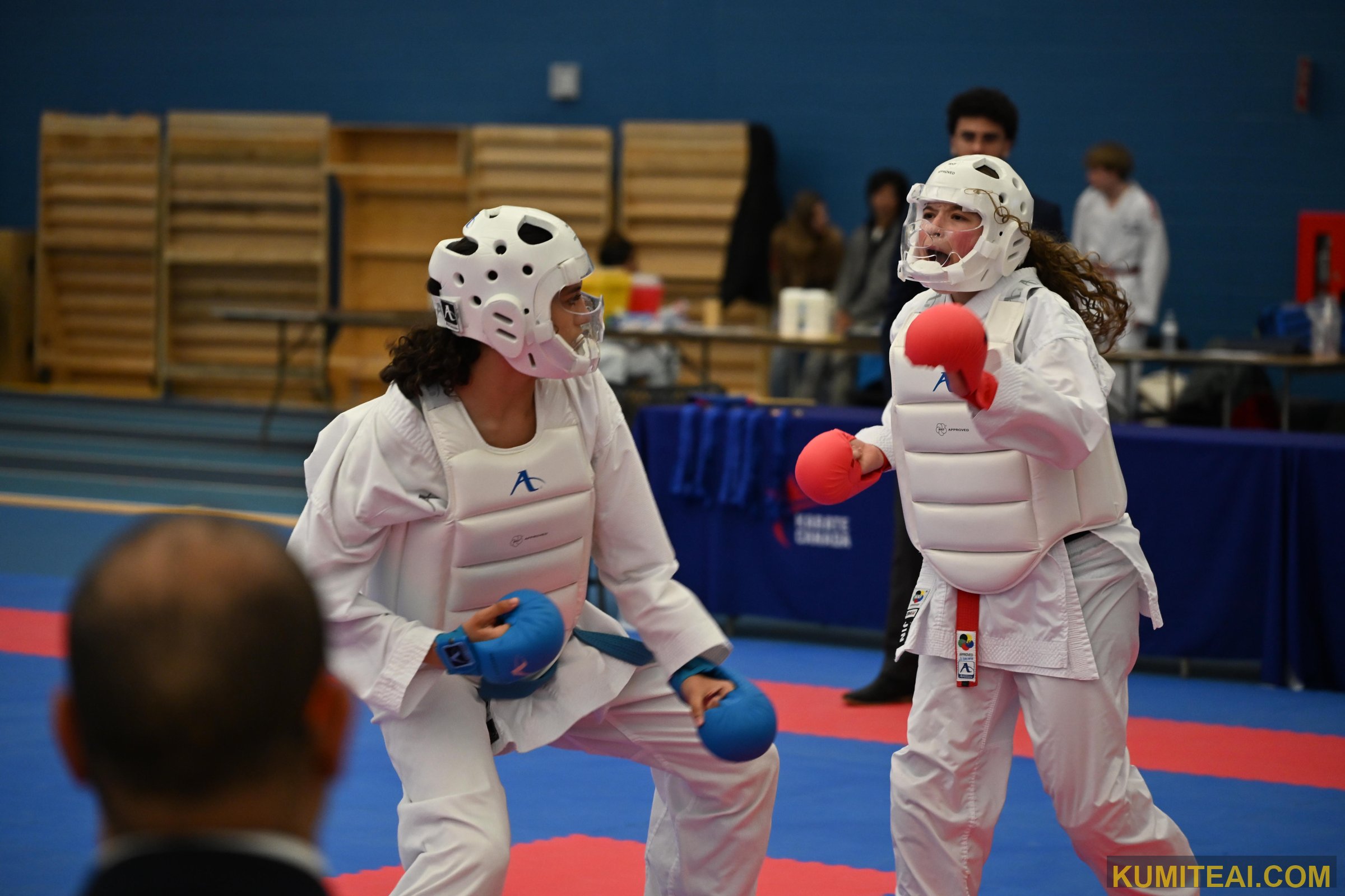 Montreal Open Karate 2025 event photo