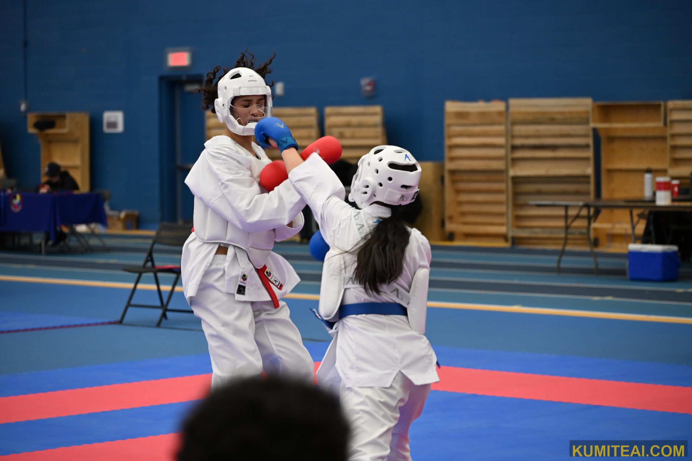 Montreal Open Karate 2025 event photo