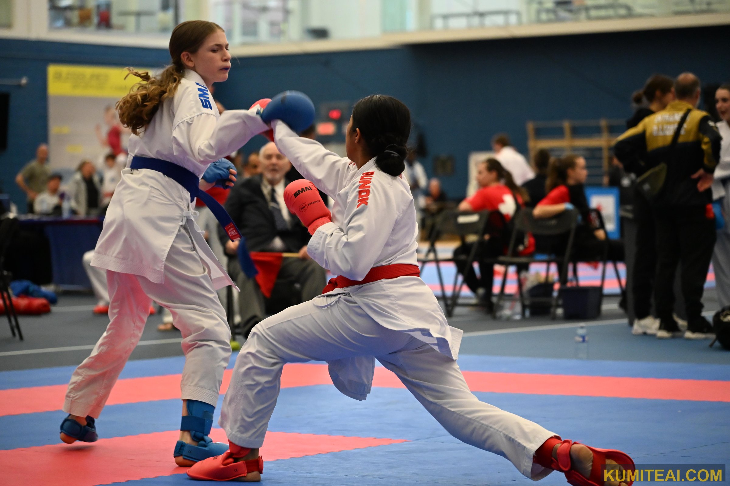 Montreal Open Karate 2025 event photo