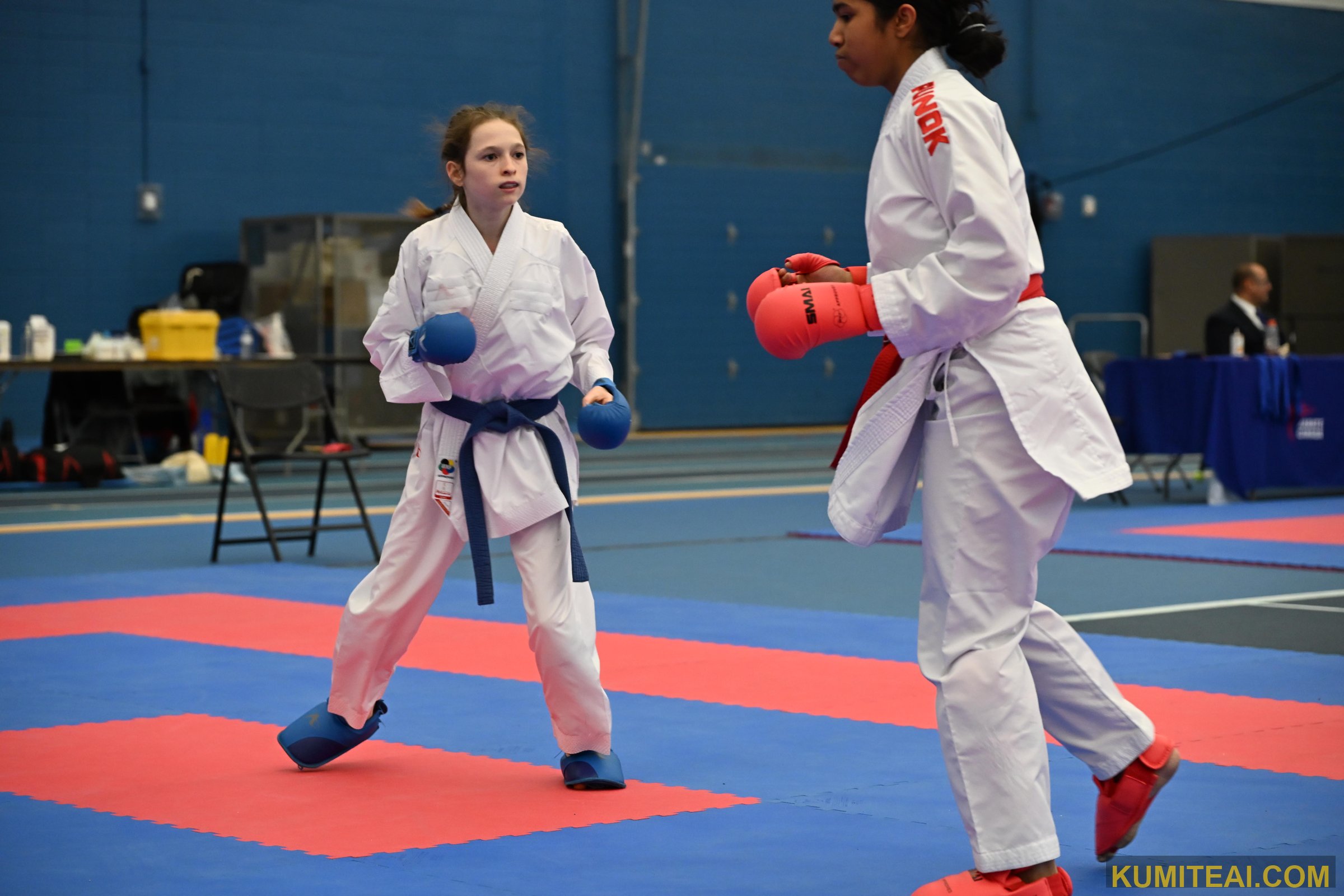 Montreal Open Karate 2025 event photo