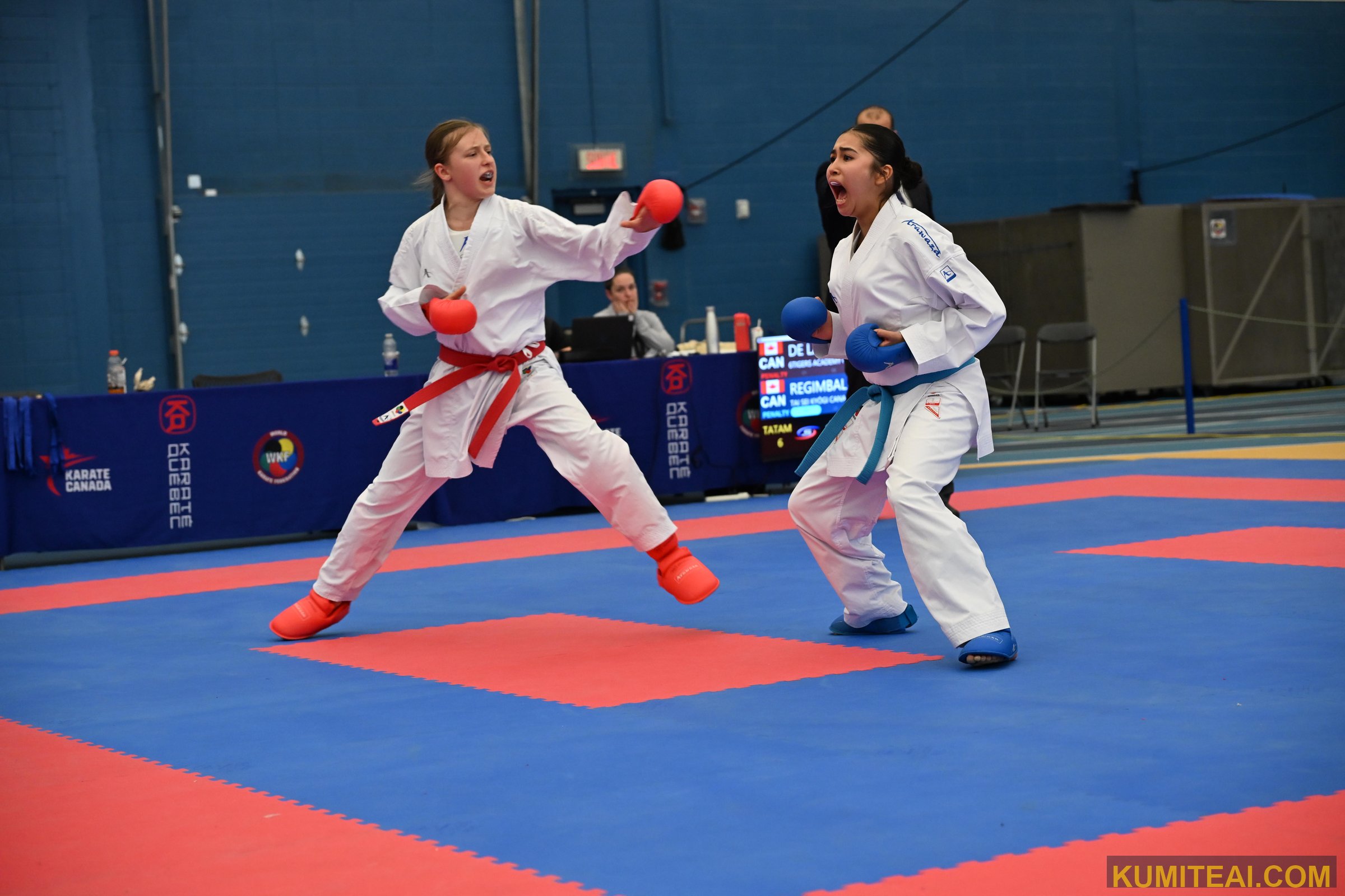 Montreal Open Karate 2025 event photo