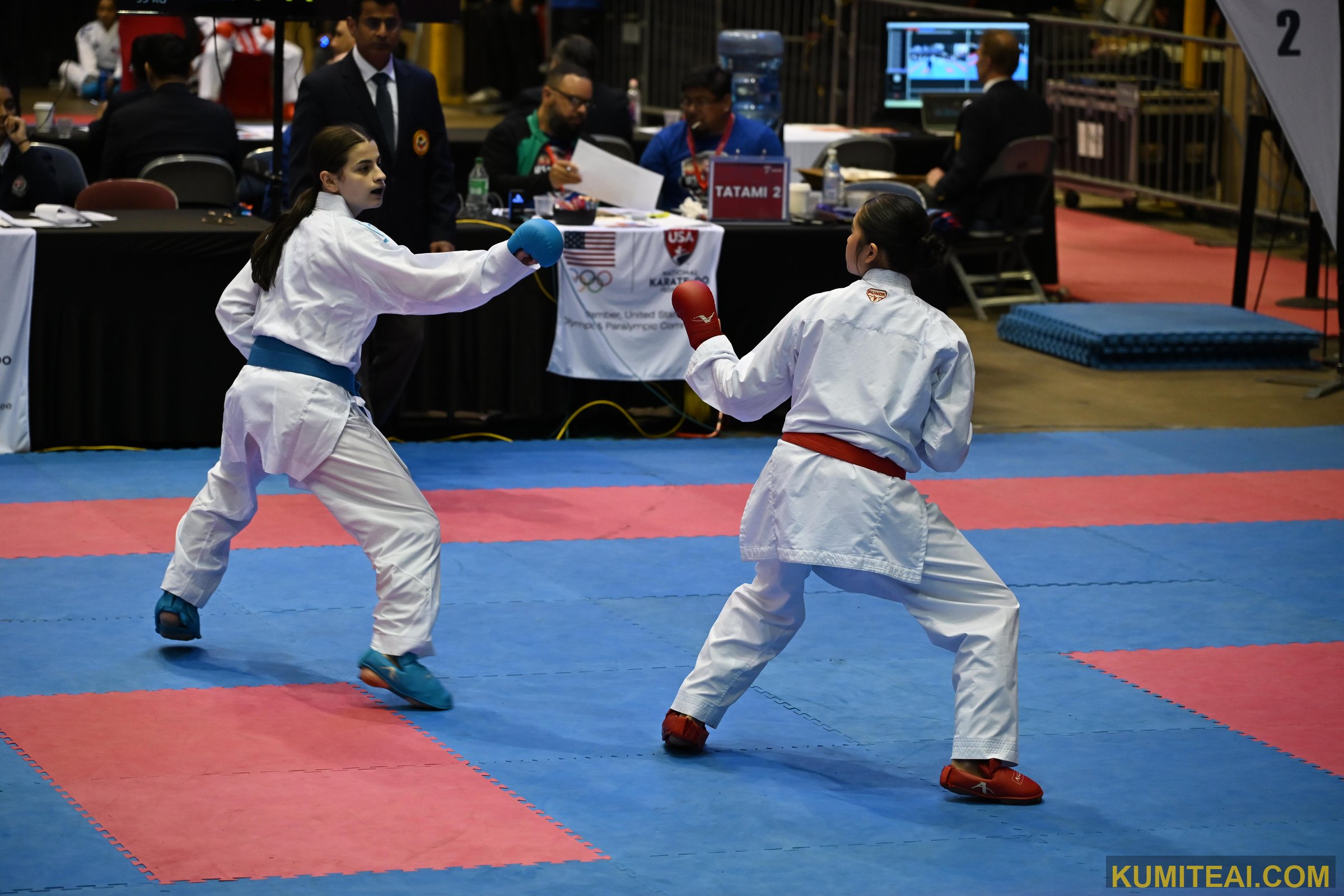 USA Open Karate 2026 event photo