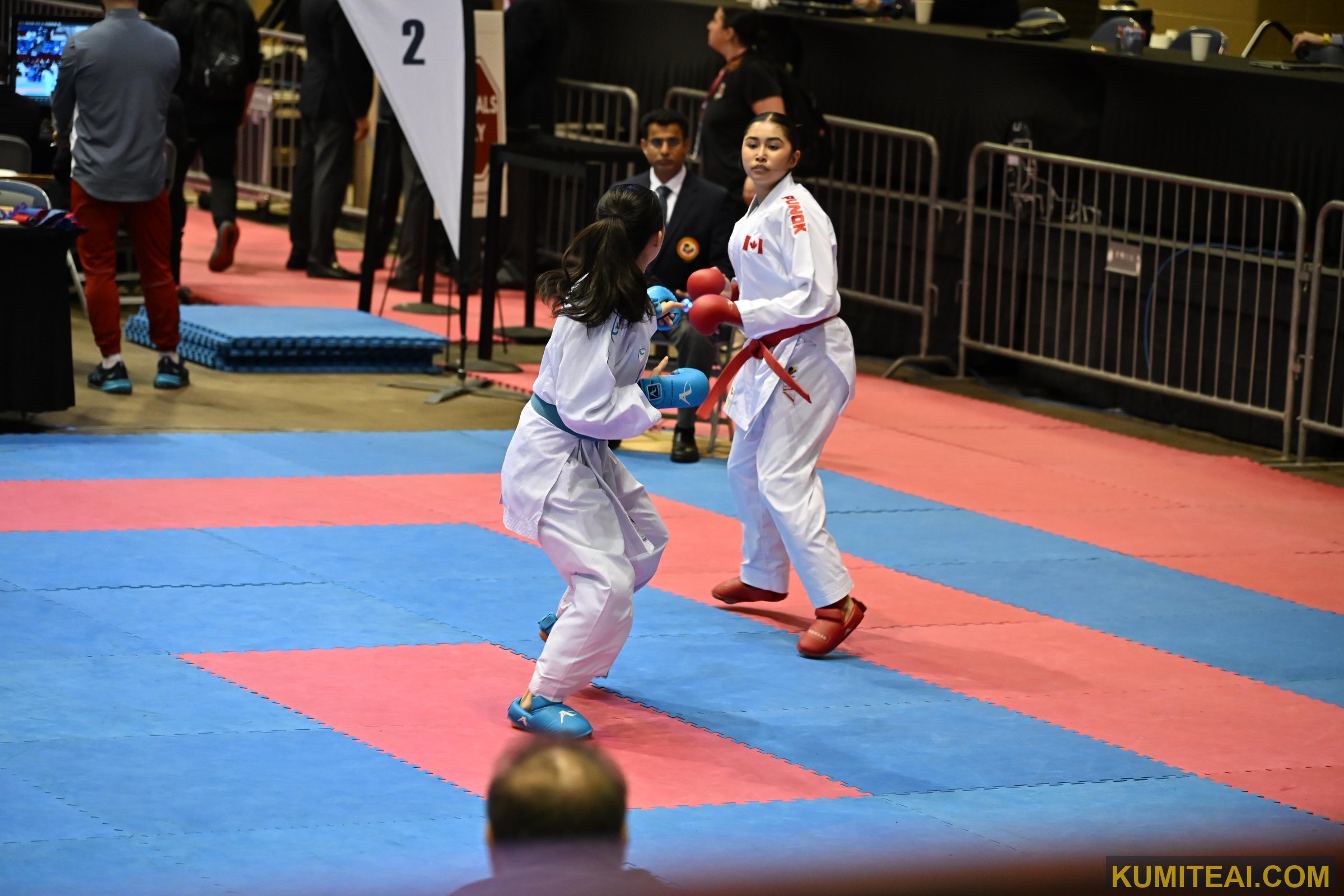 USA Open Karate 2026 event photo