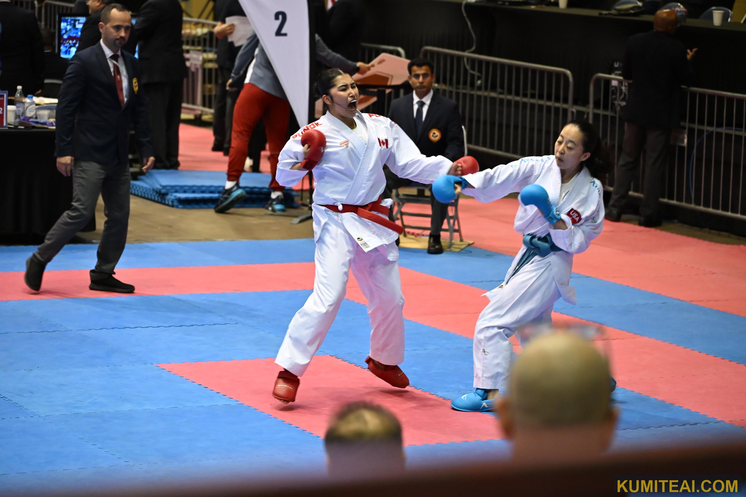 USA Open Karate 2026 event photo
