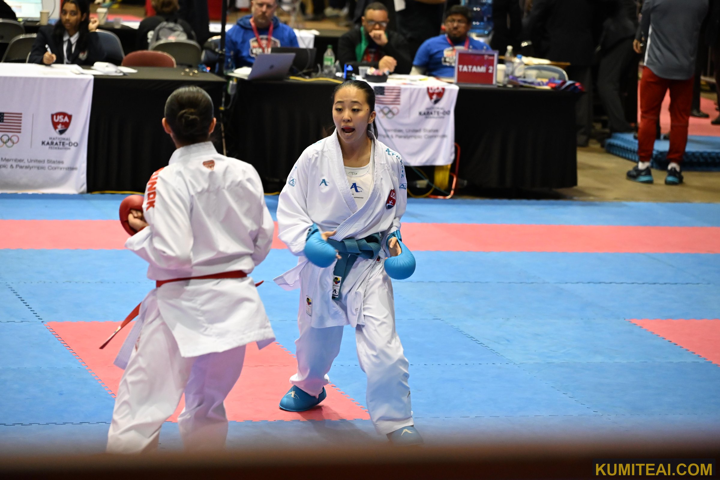 USA Open Karate 2026 event photo