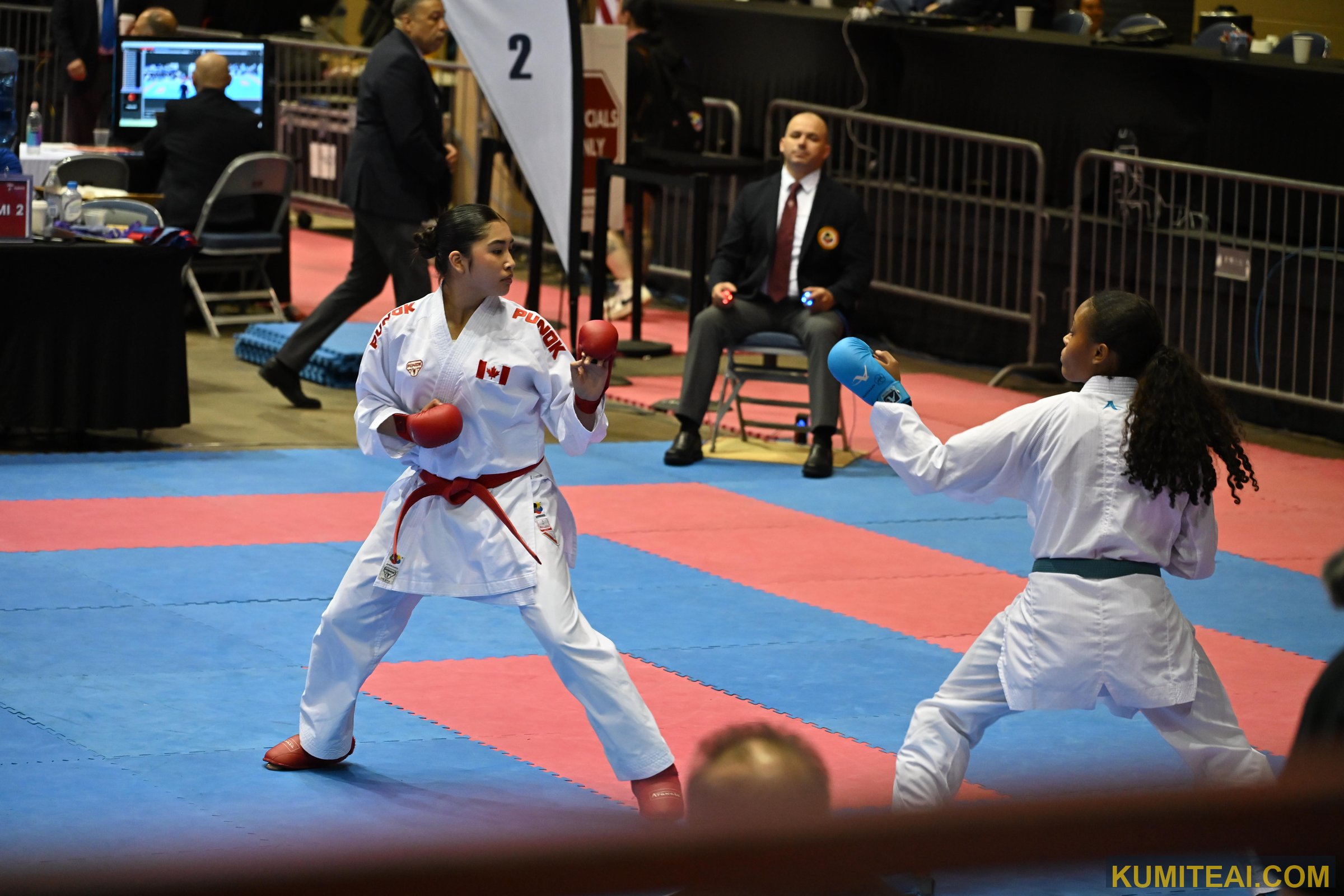 USA Open Karate 2026 event photo