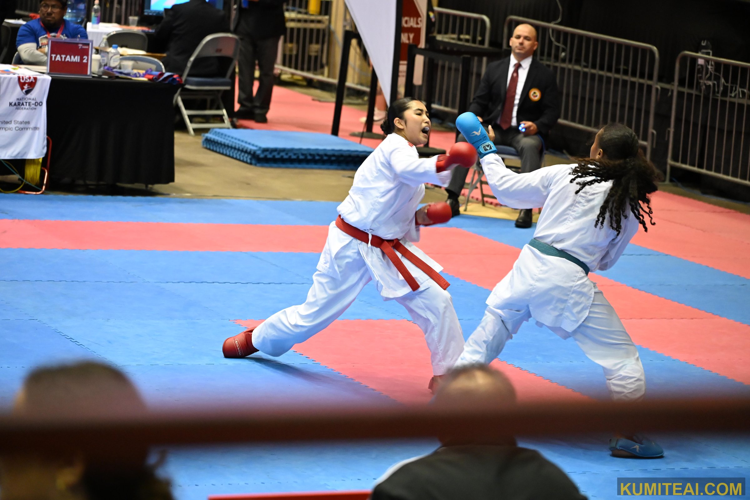 USA Open Karate 2026 event photo