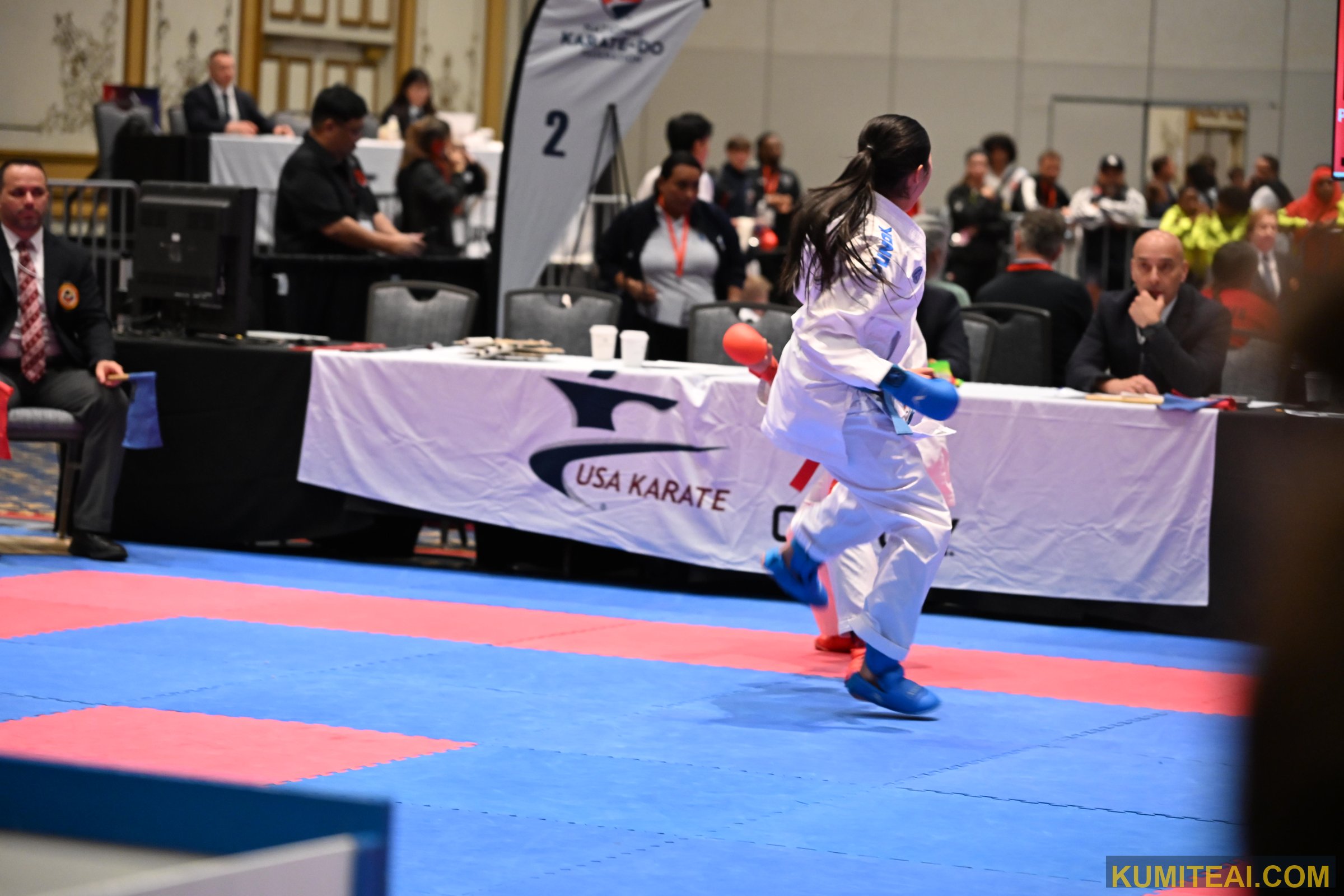 USA Open Karate 2025 event photo