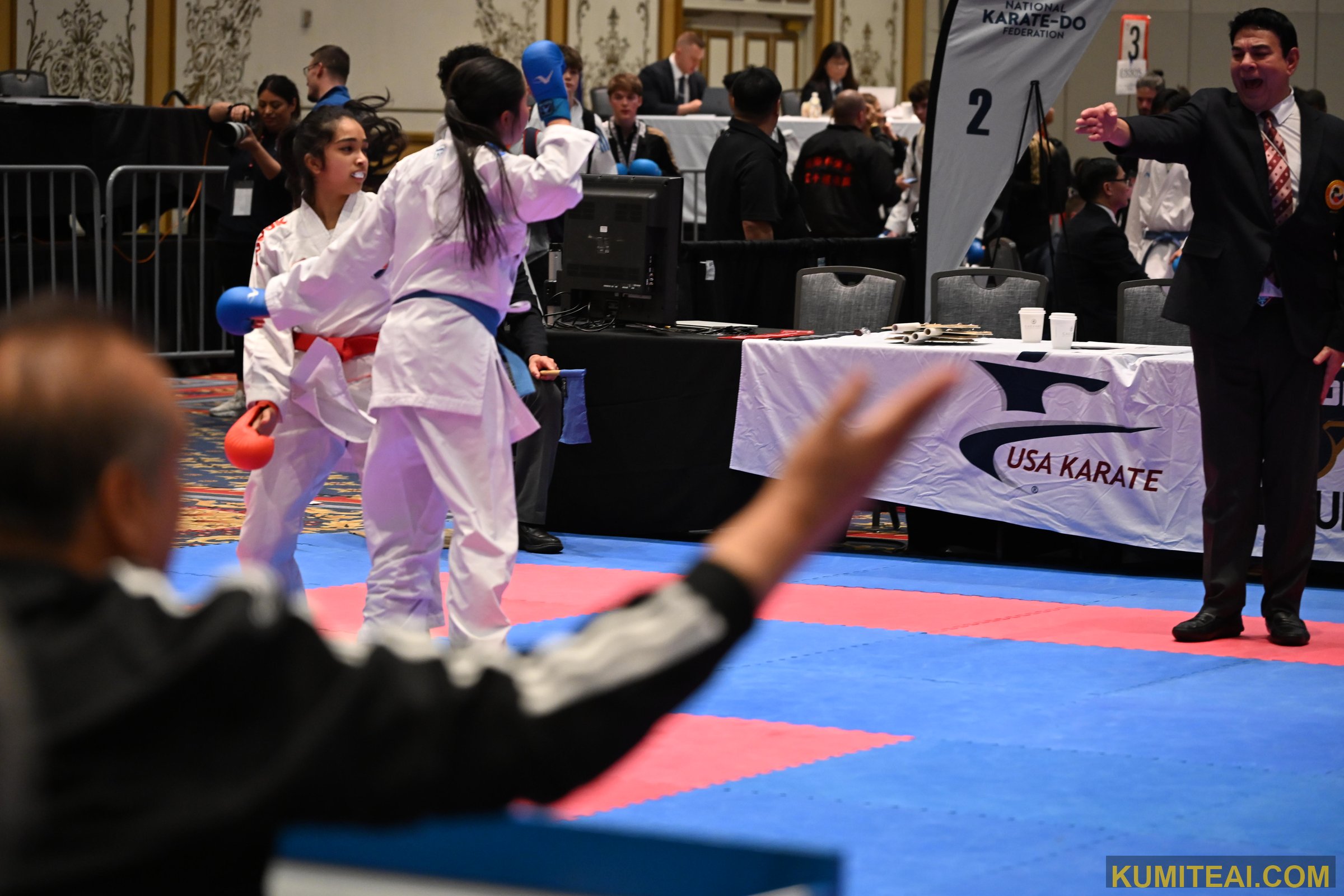 USA Open Karate 2025 event photo