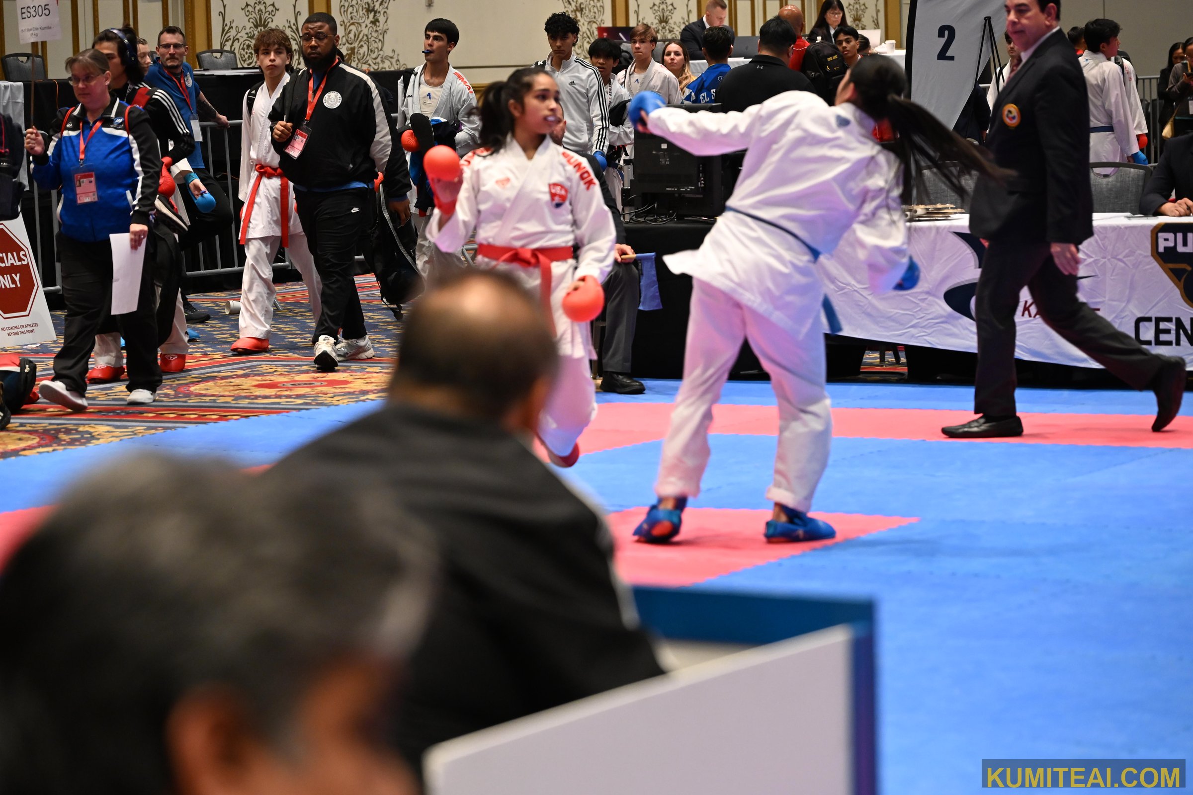 USA Open Karate 2025 event photo