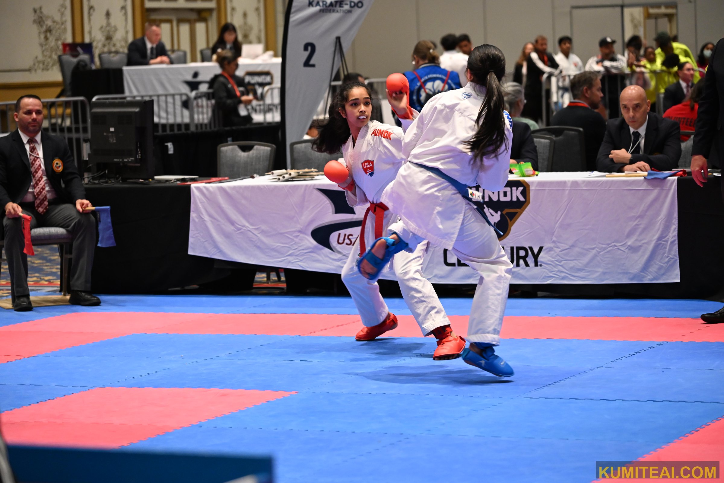 USA Open Karate 2025 event photo