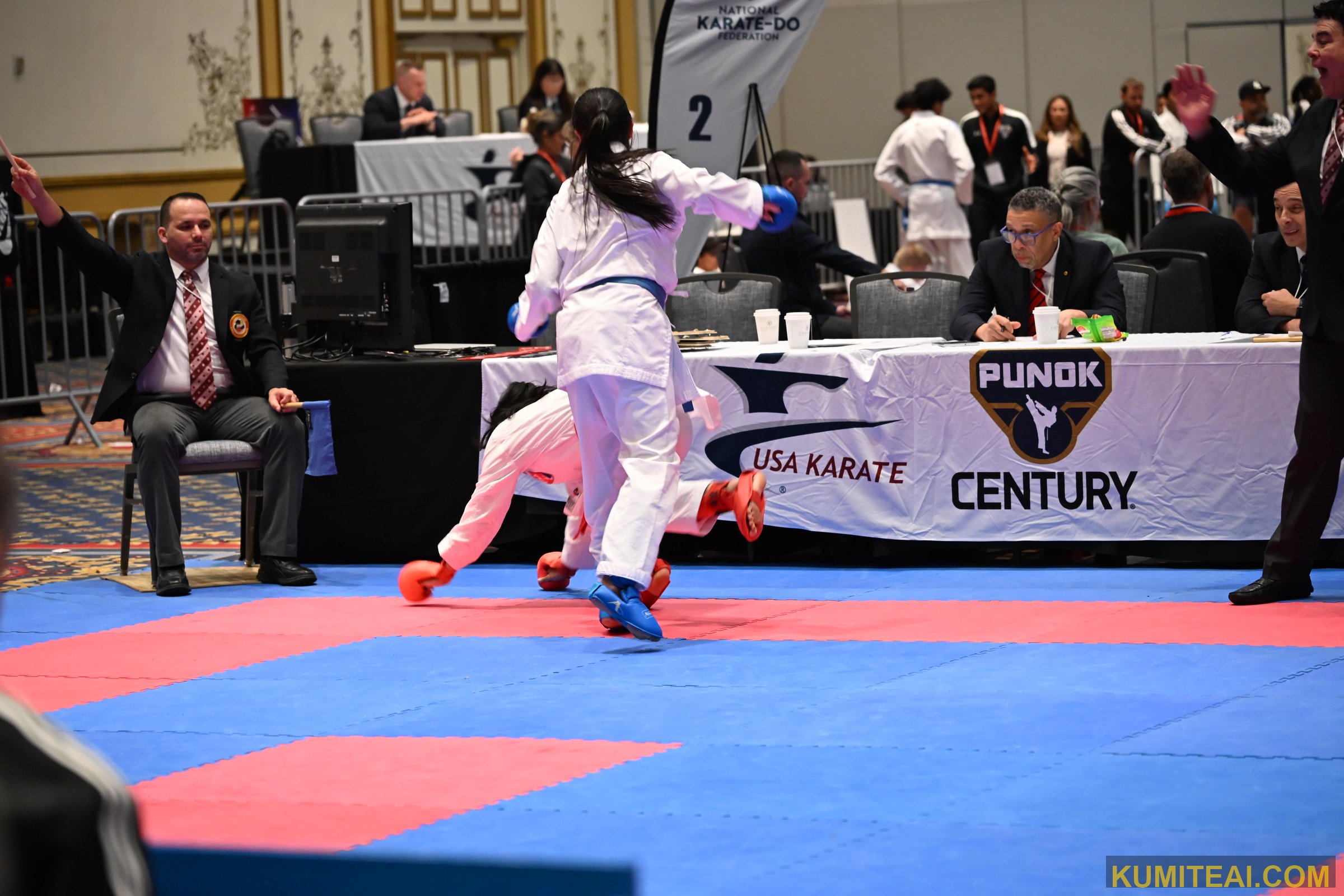 USA Open Karate 2025 event photo