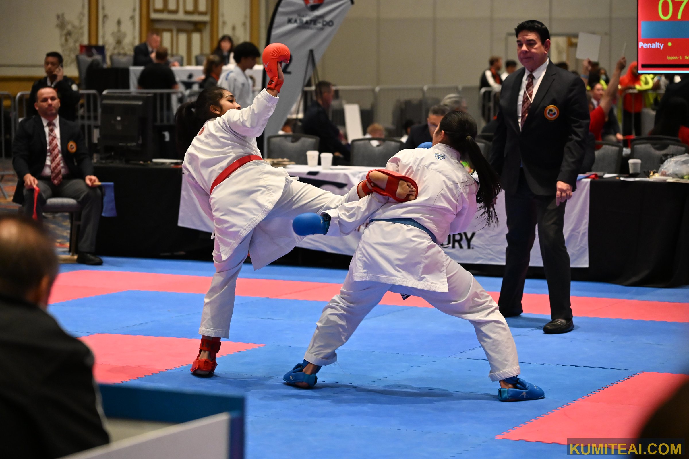USA Open Karate 2025 event photo