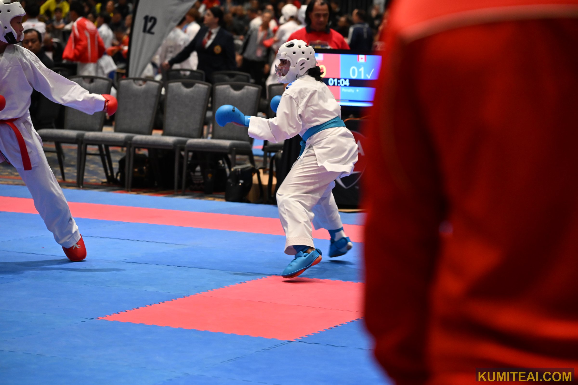 USA Open Karate 2025 event photo