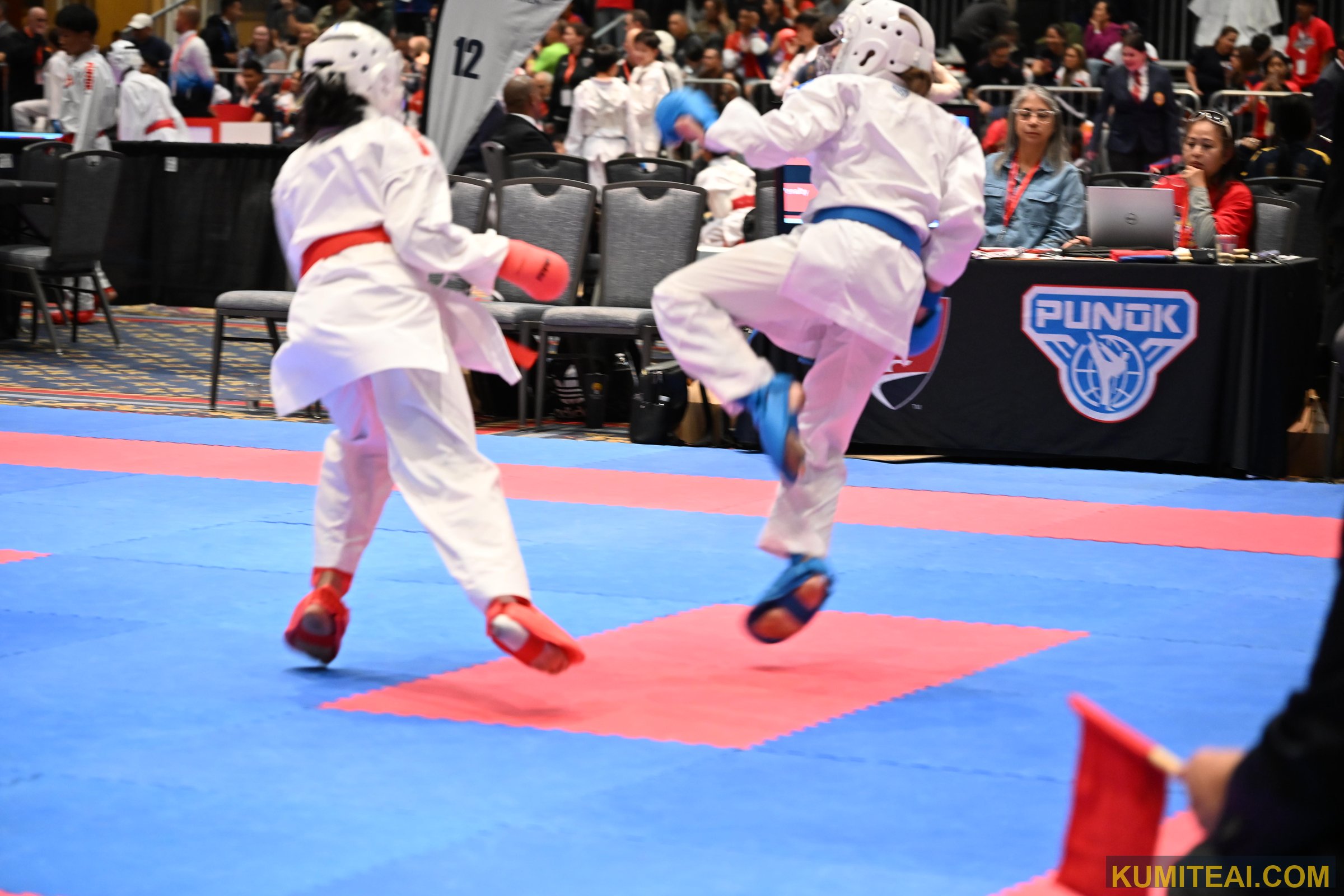 USA Open Karate 2025 event photo