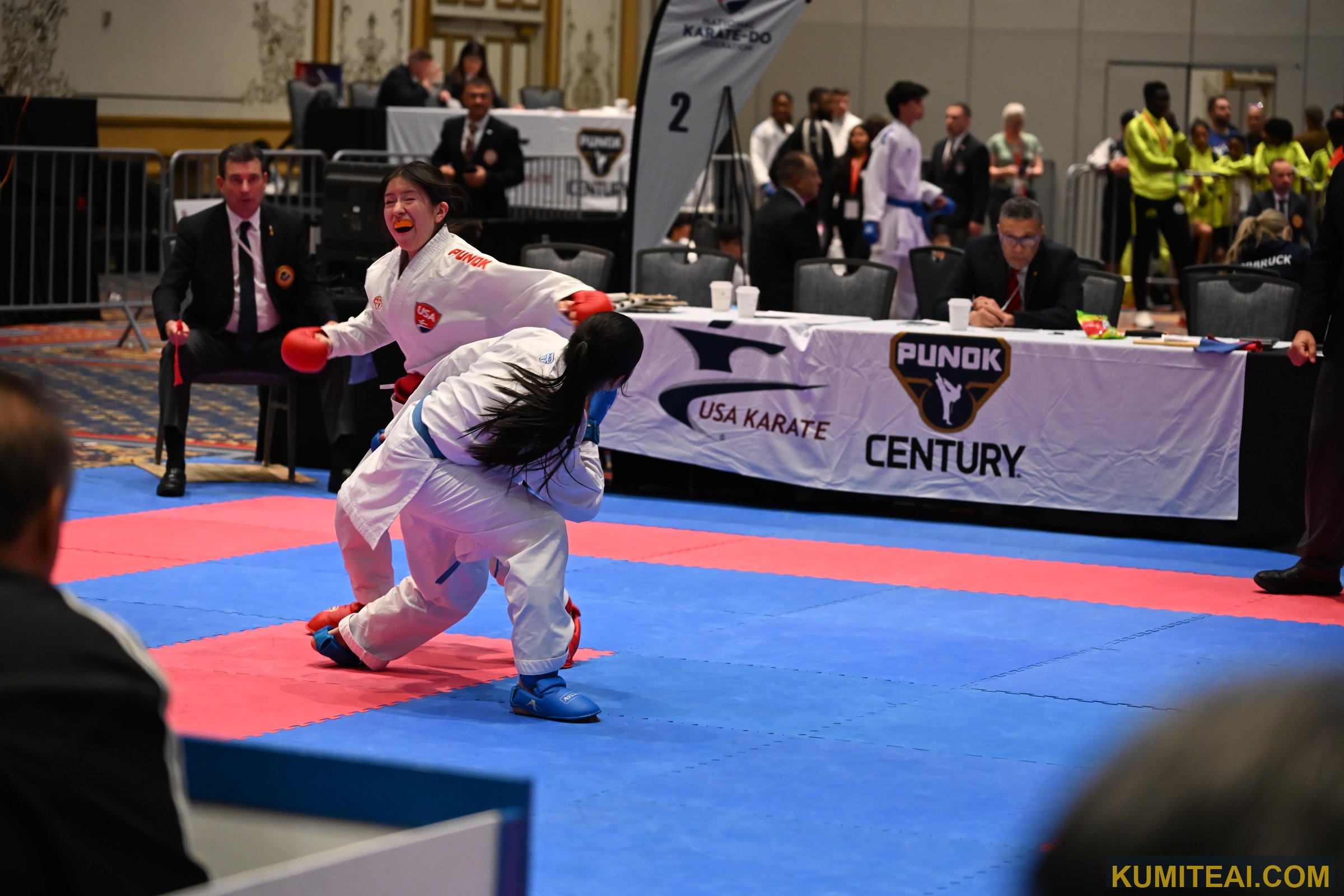 USA Open Karate 2025 event photo