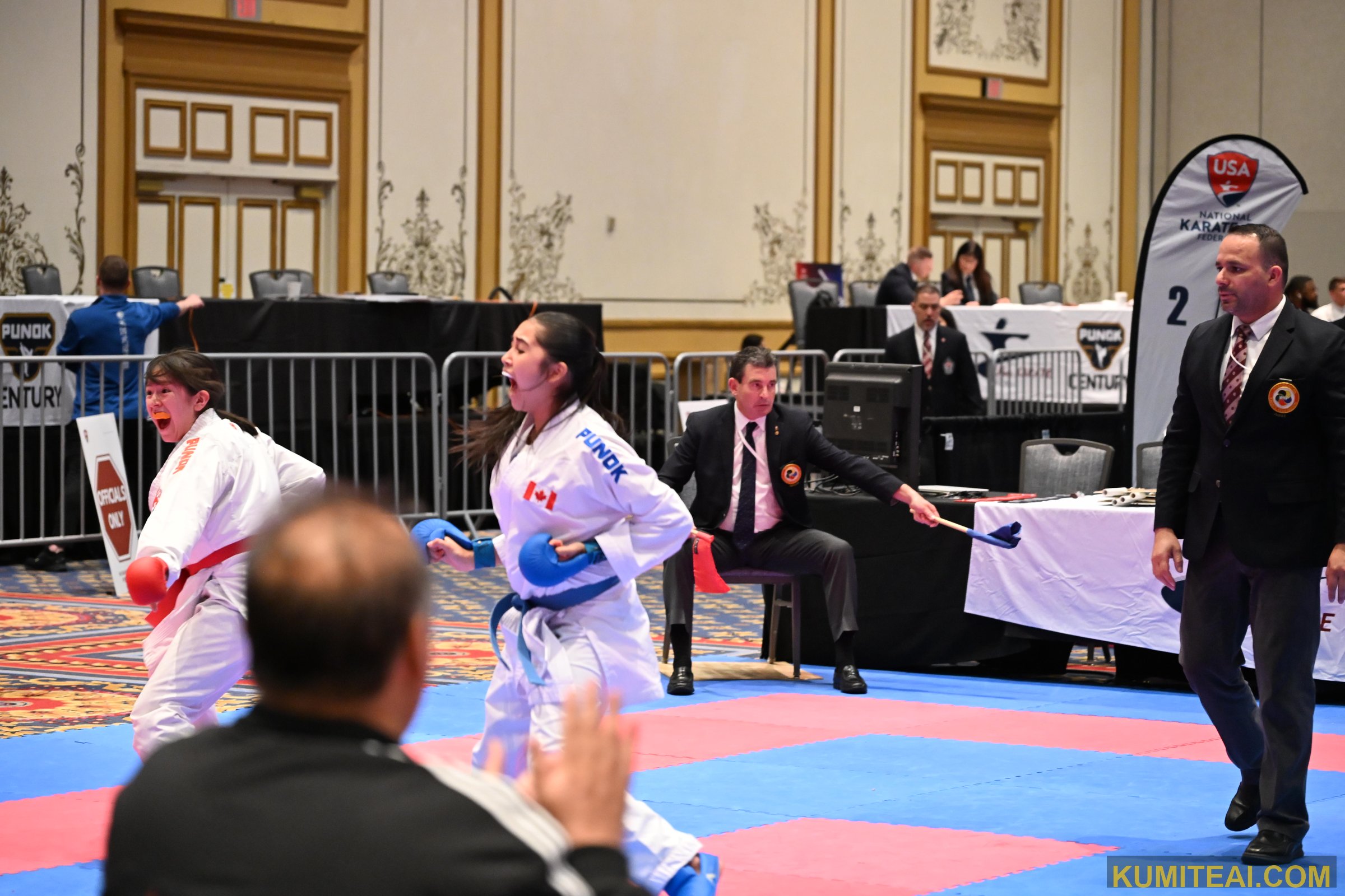 USA Open Karate 2025 event photo