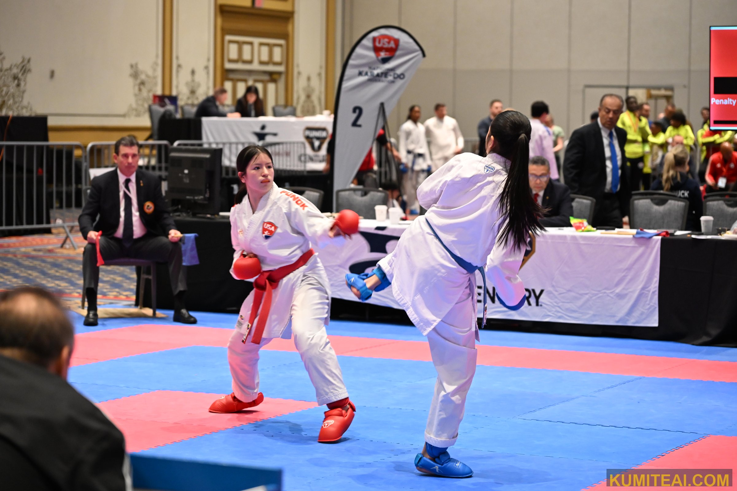 USA Open Karate 2025 event photo