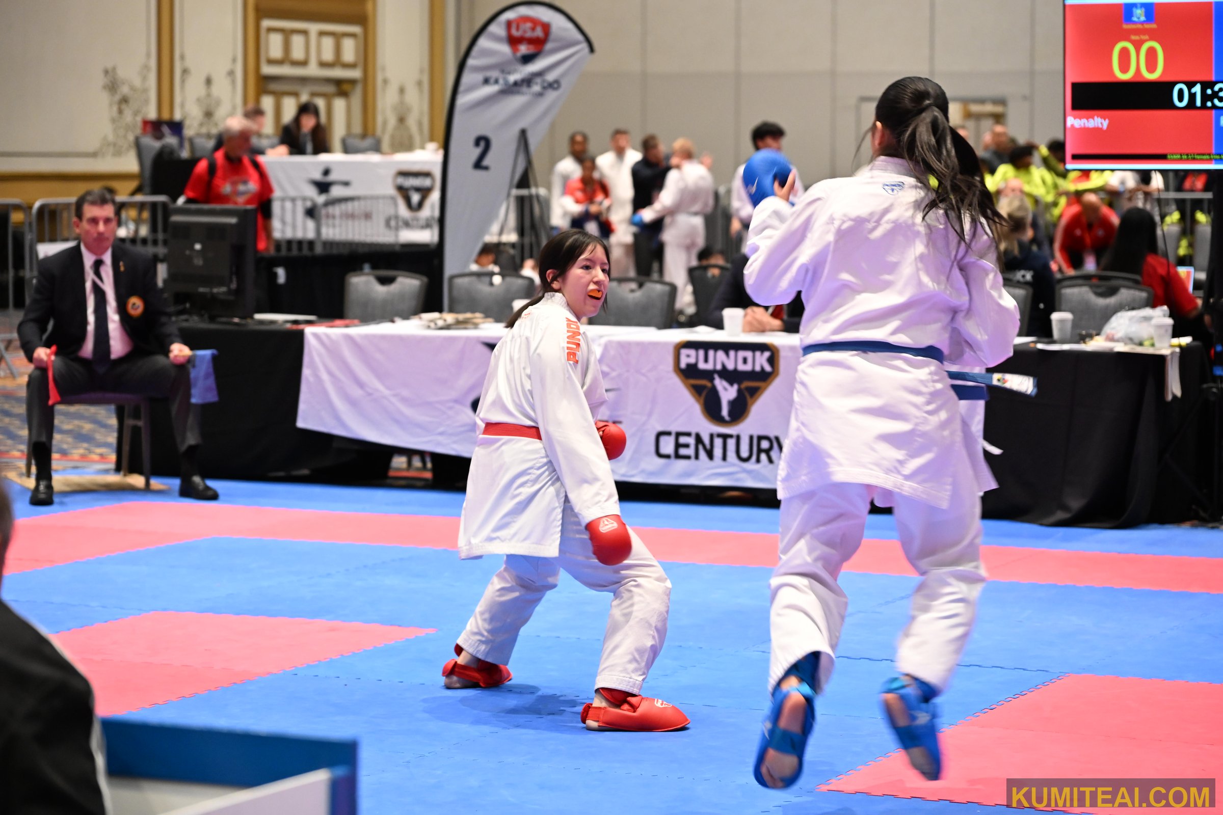 USA Open Karate 2025 event photo