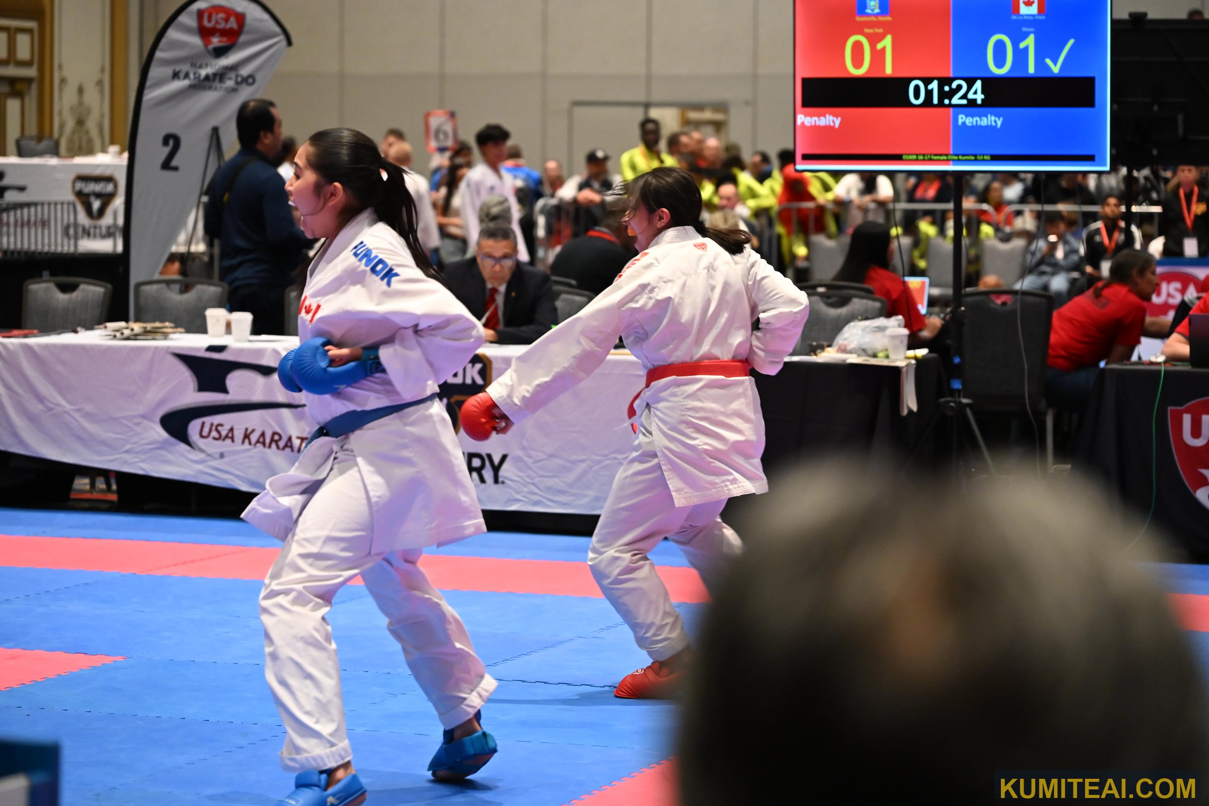 USA Open Karate 2025 event photo
