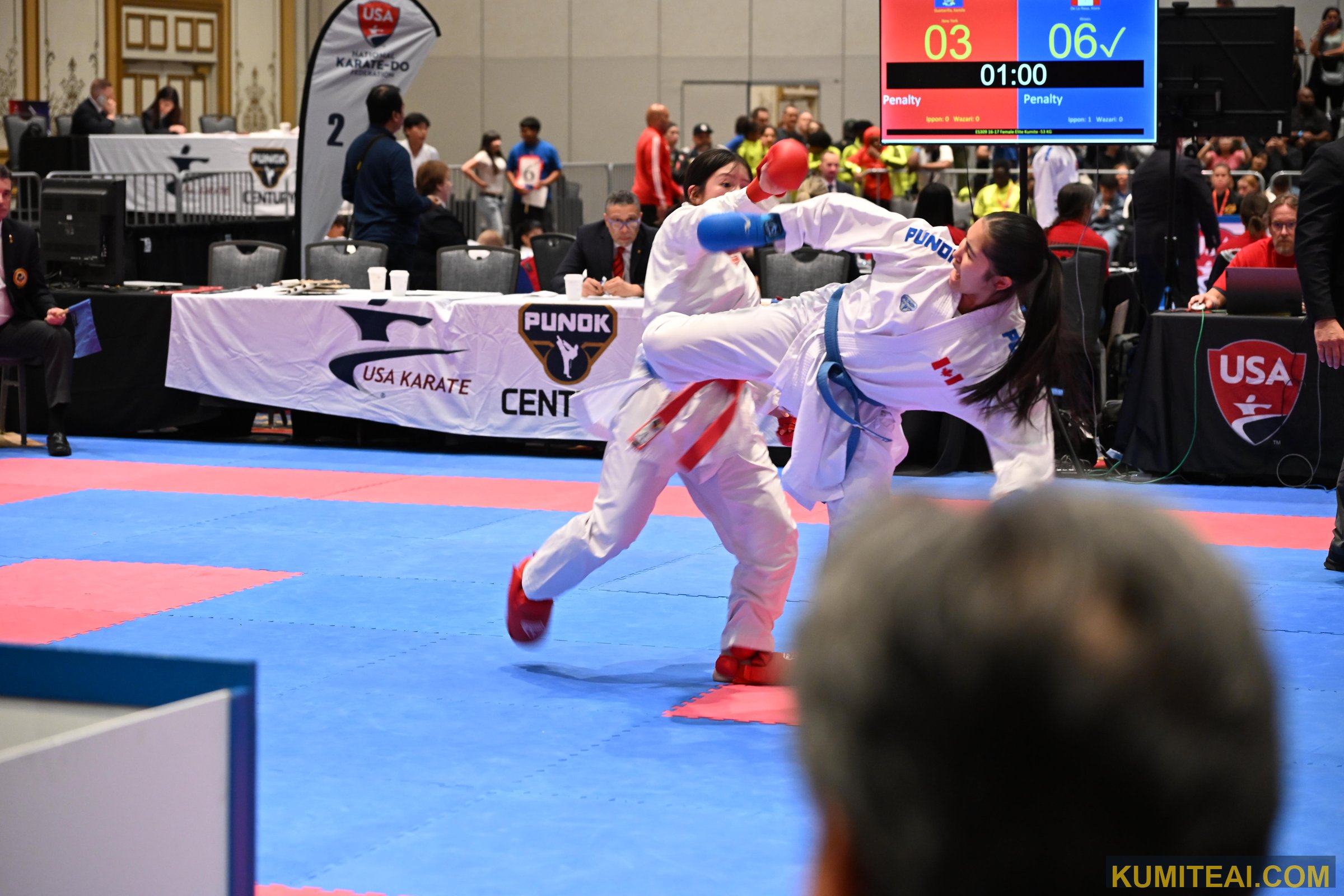USA Open Karate 2025 event photo