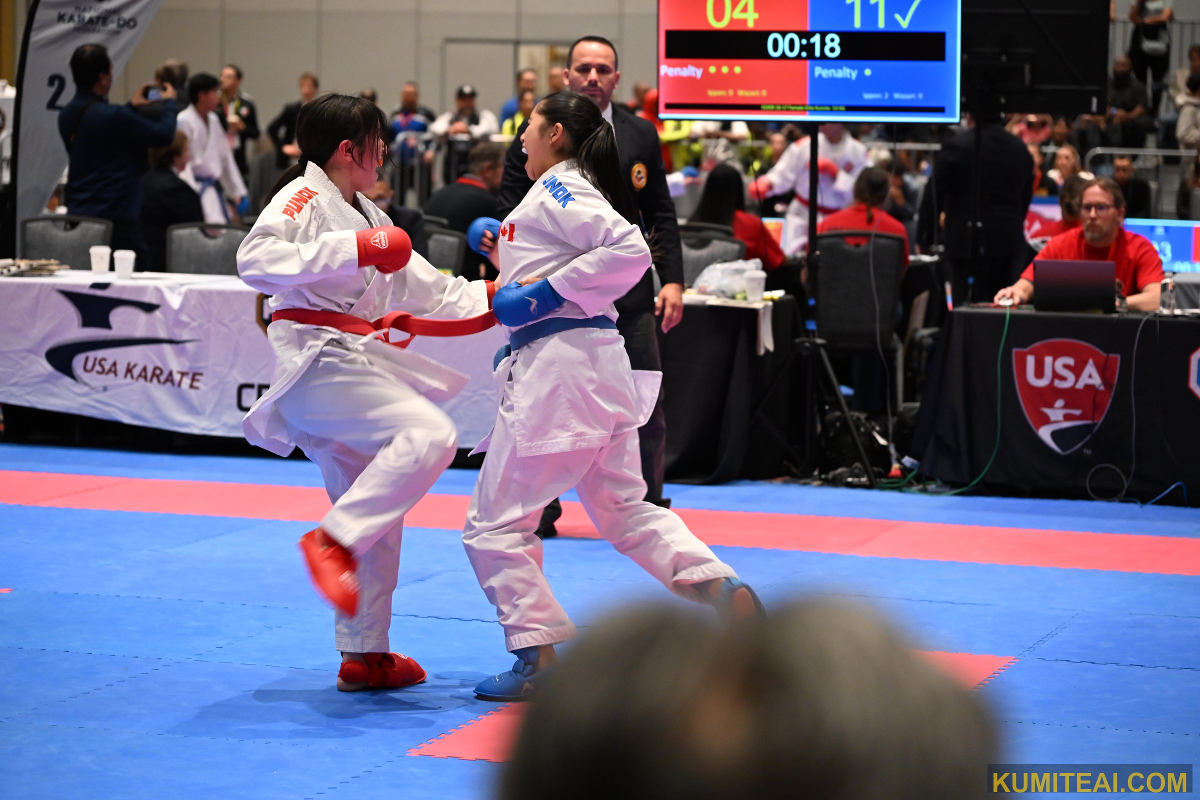 USA Open Karate 2025 event photo