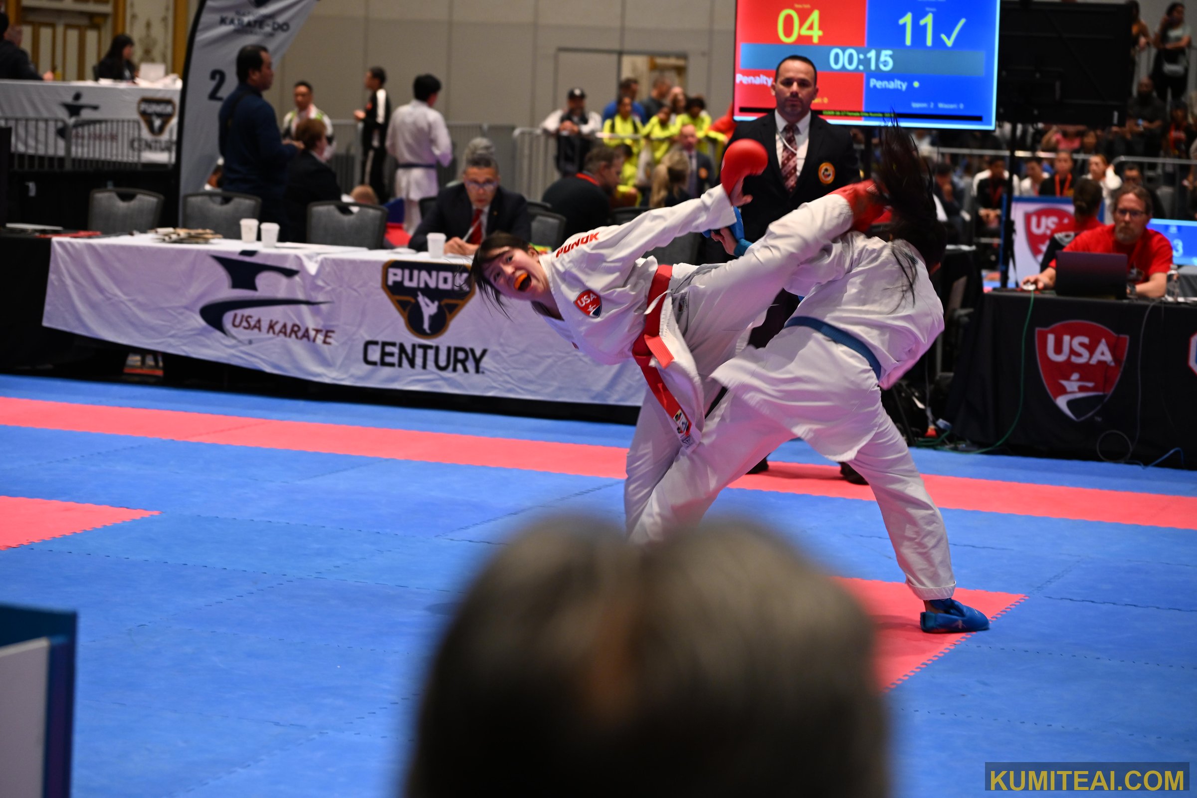 USA Open Karate 2025 event photo