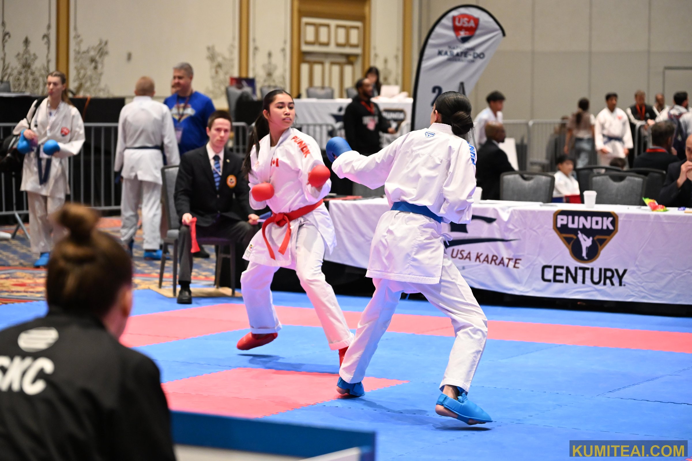 USA Open Karate 2025 event photo
