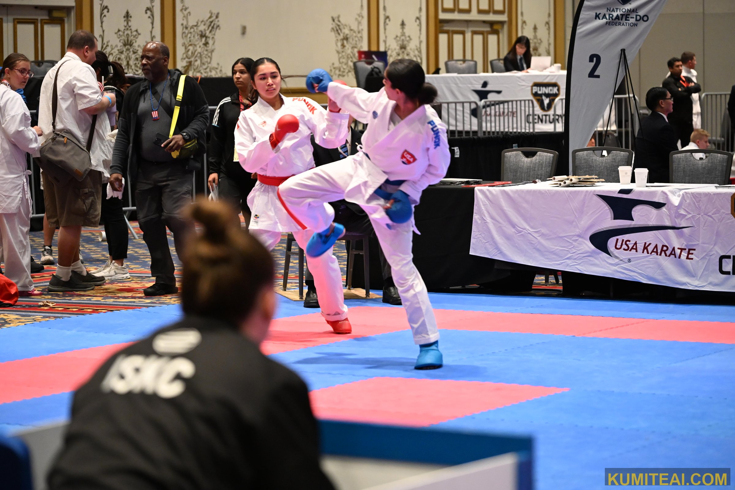 USA Open Karate 2025 event photo