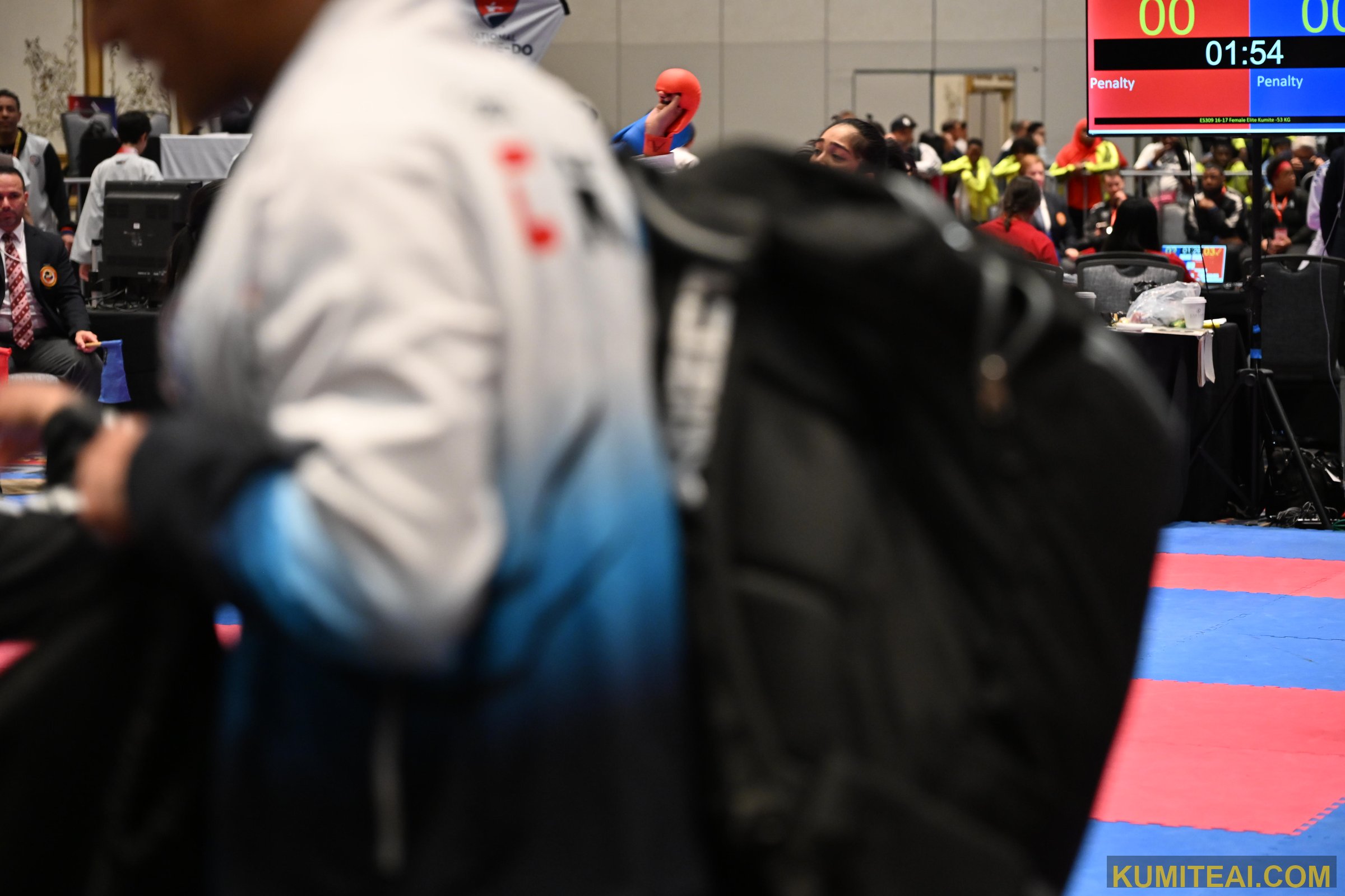 USA Open Karate 2025 event photo
