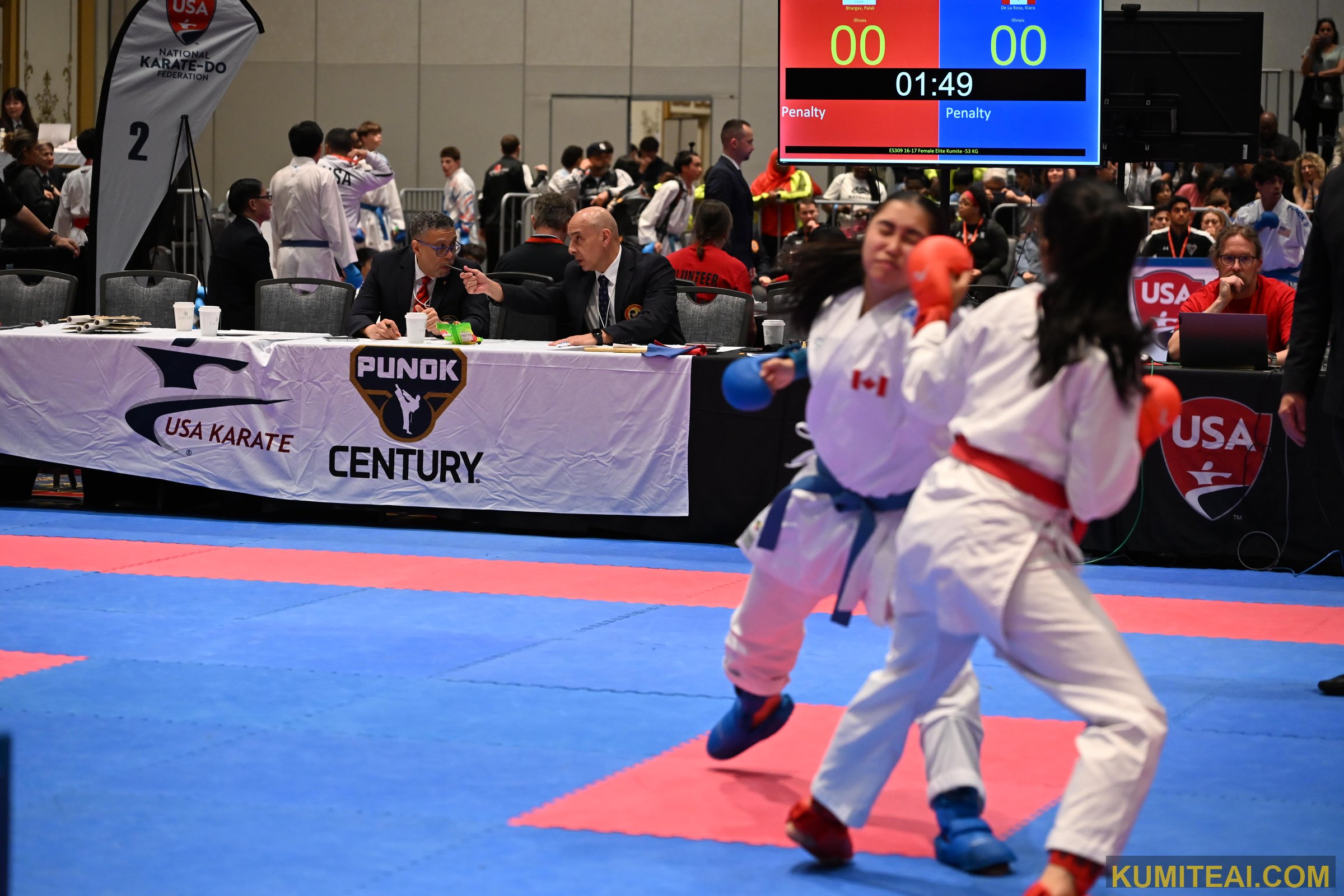 USA Open Karate 2025 event photo
