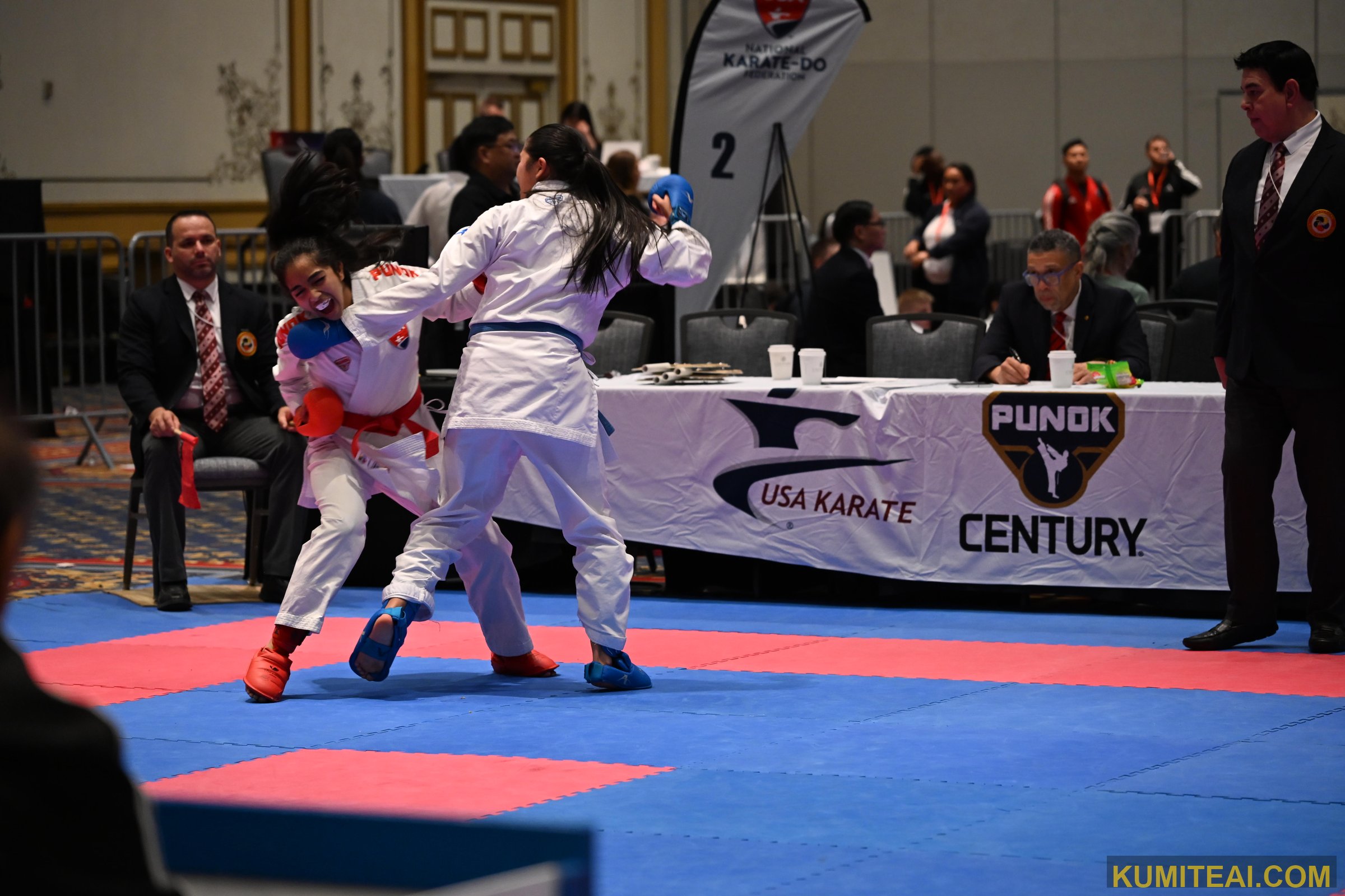 USA Open Karate 2025 event photo